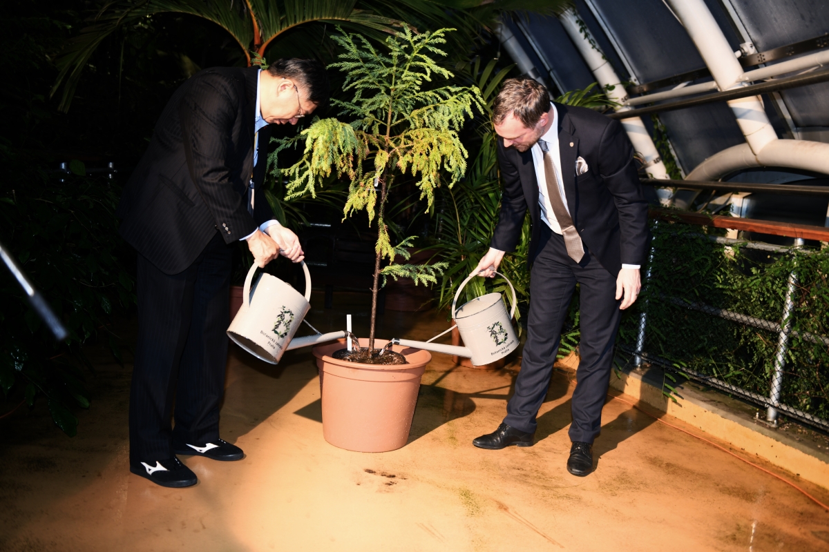 Tree planting Prague and Taipei Mayors